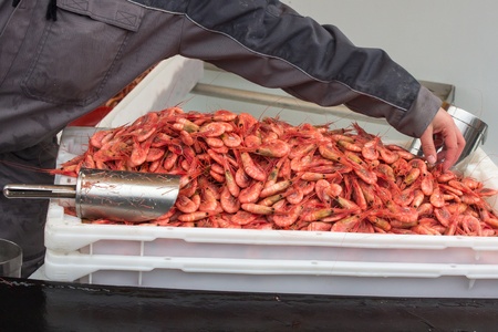 A case of shrimp and the hand of the sellerの写真素材