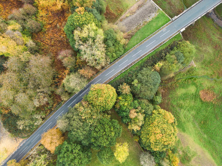 Aerial view of straight road through autumn woodland in North Yorkshire, UK. B6451 highway travelling through countryside of Yorkshire Dales. An empty road with no cars or people.の写真素材