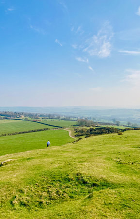 Portrait or vertical shot of man walking into the distance in North Yorkshire countryside. Hiking or...