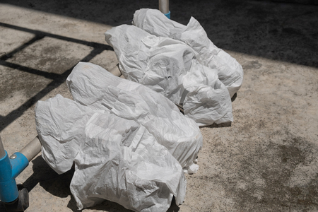 Sneakers shoes wrapped in tissue paper after washing was taken to dry by sun and airの写真素材