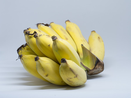 Cultivated banana is the best fruit before the sports competition, it stores lots of energy with easily digested.の写真素材