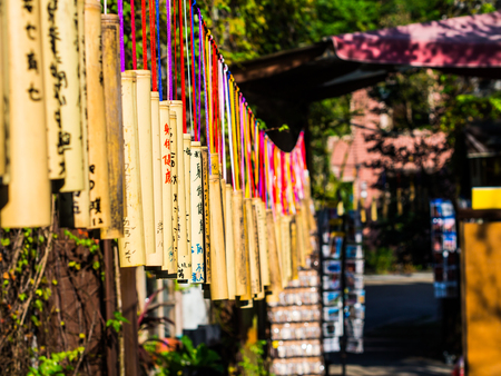 The wishing bamboo where people write the wish on them are lining in pattern along the way. It is a local landmark near Shifen, the largest waterfall in Taiwan.のeditorial素材