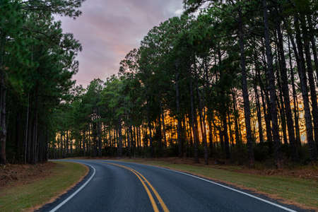 Empty Road twisting through a forest in North Carolina at Sunsetの写真素材