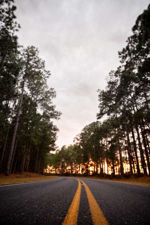 Empty Road twisting through a forest in North Carolina at Sunsetの写真素材