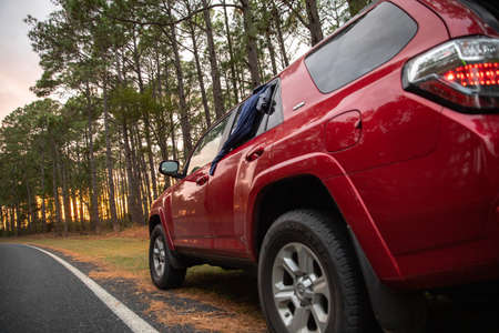 Side view of red car on road in forest at sunset. Space for text