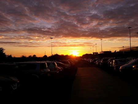Sunriseの素材
