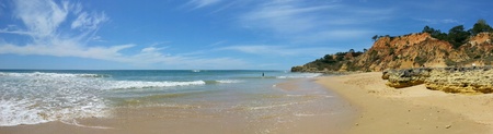 Beachの素材