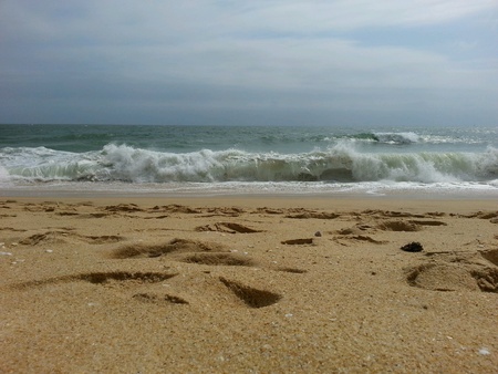 Beachの素材
