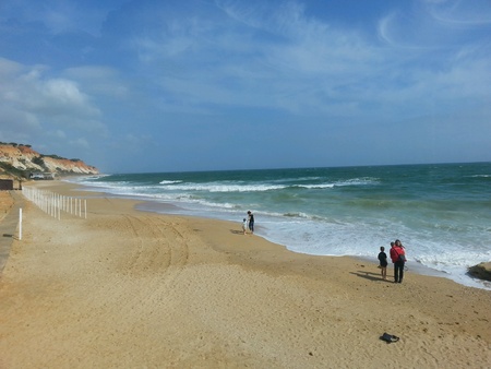 Beachの素材