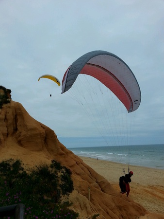 Paraglidingの素材