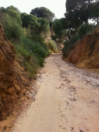 Path to a beachの素材