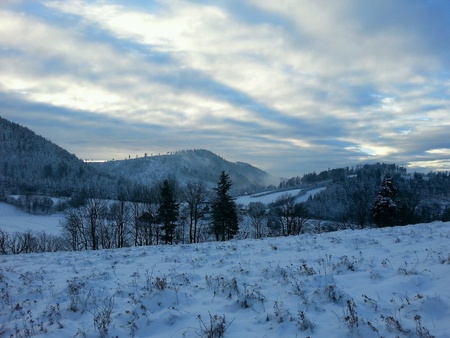 Winterの素材