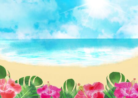 Hibiscus Resort Sea Summer Sky Background Illustrationの写真素材
