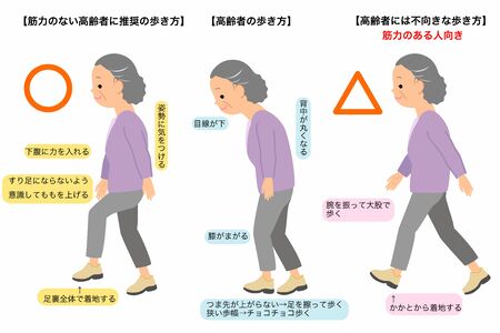 the correct way of walking the elderly with lettersのイラスト素材