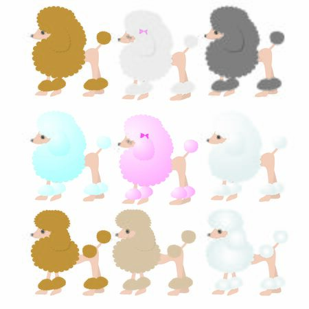 Continental clip poodlesのイラスト素材