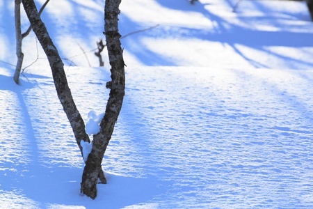 snowfieldの写真素材