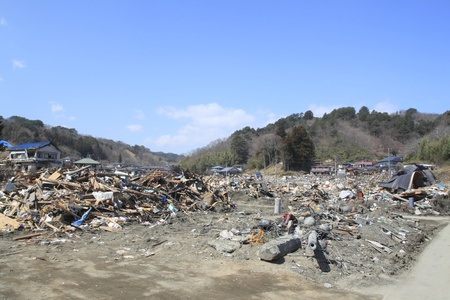 the Great East Japan Earthquak