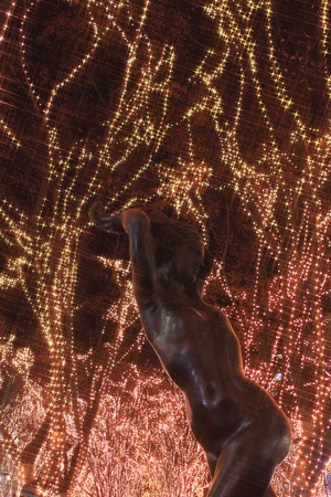  The light of pageant in Sendaiのeditorial素材