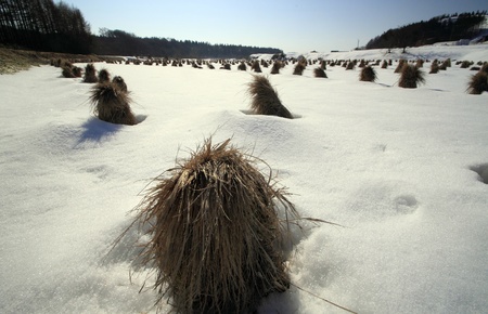 snowfield in winterの写真素材