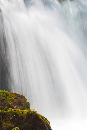Oirase stream in spring. Aomori prefecture,Japan. の写真素材