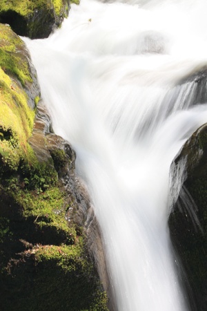 Oirase stream in spring. Aomori prefecture,Japan. の写真素材