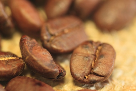 close up Coffee beans background の写真素材