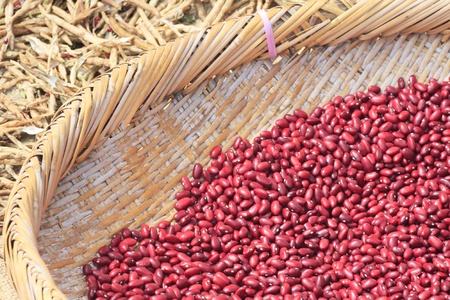Azuki Bean , Red Bean   の写真素材