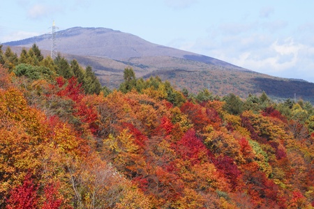  colorful  leaves and   Mt.Iwate in Gully  Matsukawa