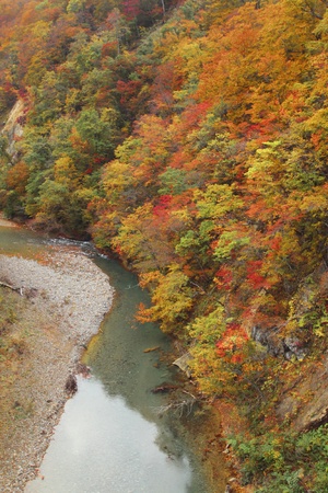 stream and Autumn leaf color  in Ichinosekiの写真素材