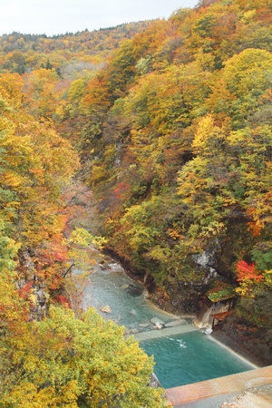 stream and Autumn leaf color  in Ichinosekiの写真素材