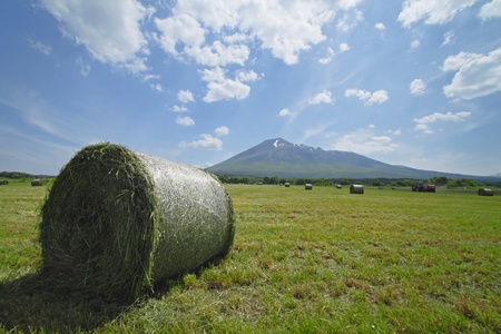 round bales of straw and  Mt.Iwate   in  Hachimantai,Iwateの写真素材