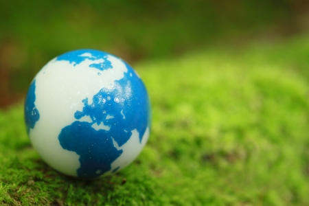  CLose up Moss and globe  in forest