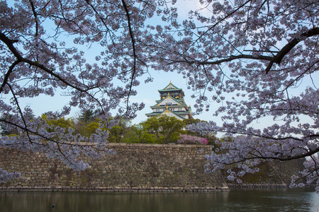 Osaka Castle and Sakura in Osaka City, Osaka Prefecture, Kansai, Japanのeditorial素材