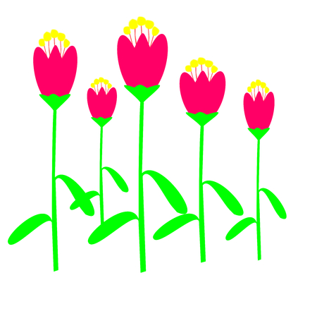 flower  flowers  summerのイラスト素材