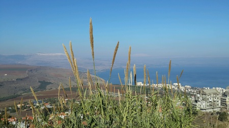 Sea of Galilee viewの素材