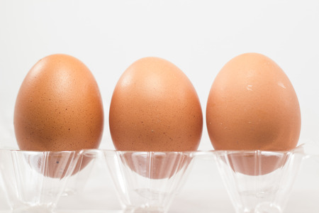 fresh eggs