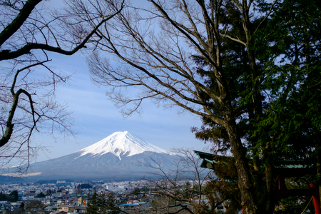 Mount Fuji from the Chereito pagoda view. Seeing through the tree.の写真素材