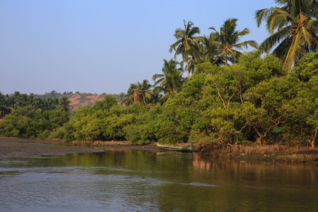 A boat at the shore against the background of palms and blue skyの写真素材