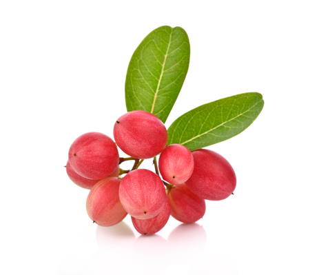 Carunda or Karonda isolate on white backgroundの写真素材