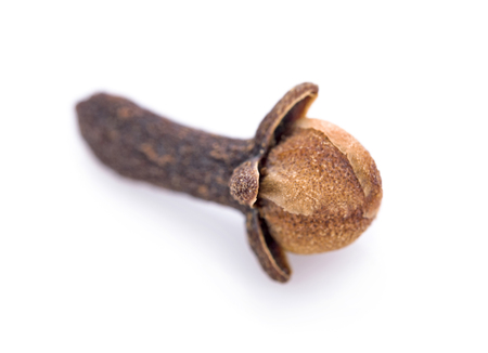 clove on white backgroundの写真素材