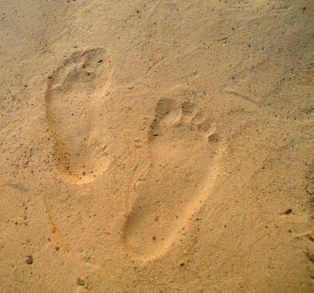 Footprints in the Sandの写真素材
