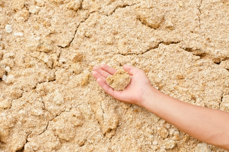 Cracked soil after flood の写真素材