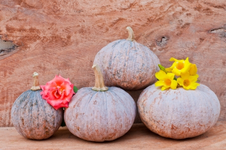 Rustic autumn still life with mini pumpkins and flower on old wood  in background  Macro with shallow dof の写真素材