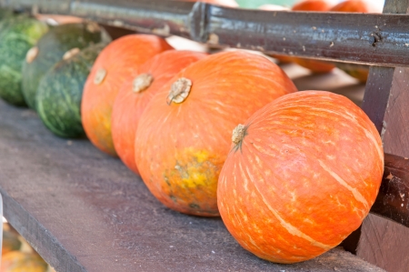 Pumpkins for Saleの写真素材