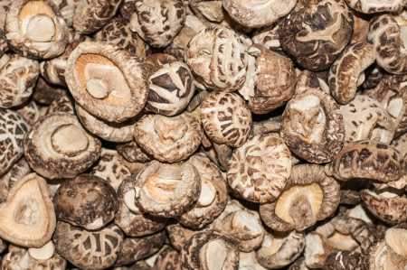 Dried mushroomsの写真素材