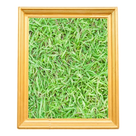 grass in Gold vintage frame