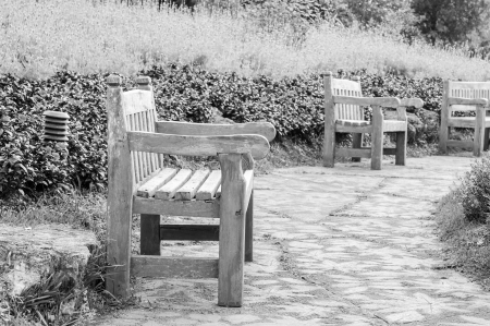 Bench in the garden park (Process in black and white style)の写真素材