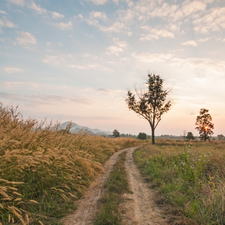 Sunset over rural roadの写真素材
