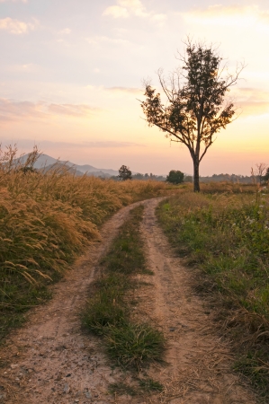 Sunset over rural roadの写真素材