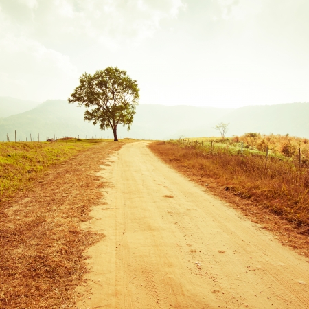 Rural road leading to the tree in vintage styleの写真素材